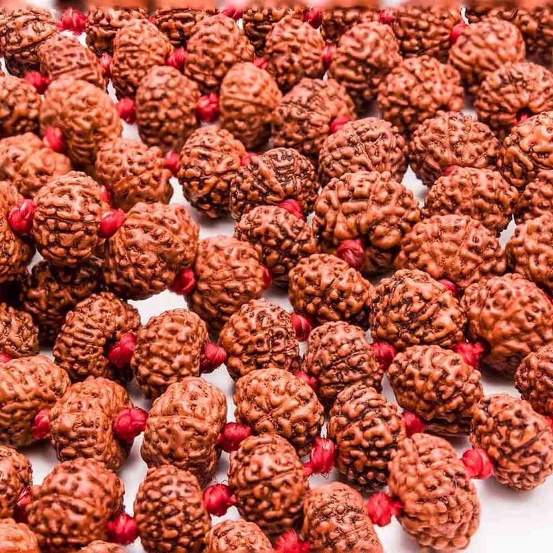 7 Mukhi Rudraksha Mala for Wealth, Prosperity & Financial Growth